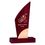 0750680a - TROPHEE 20 cm PHOTO V10